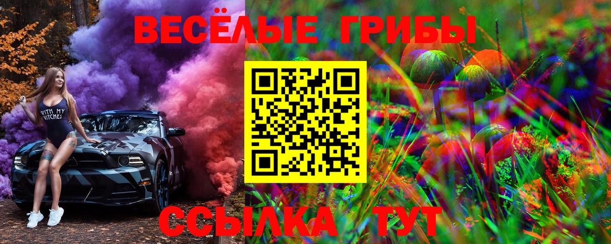 Псилоцибиновые грибы мицелий  Лениногорск  Галлюциногенные грибы Psilocybine cubensis 