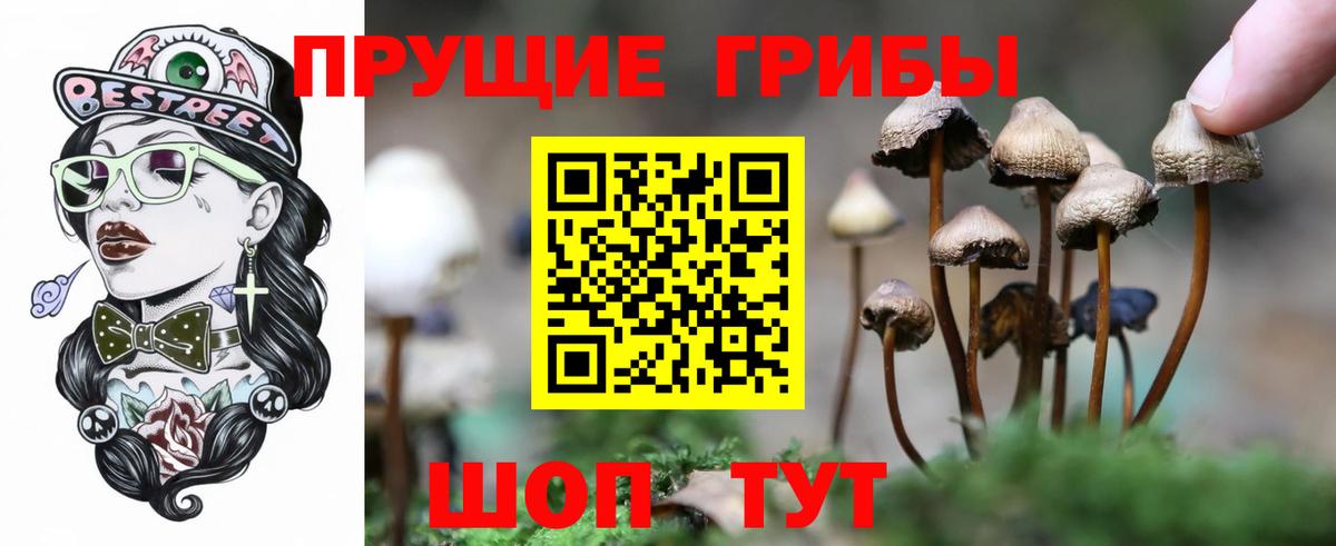 Галлюциногенные грибы ЛСД  наркошоп  Лениногорск  Вход с VPN 